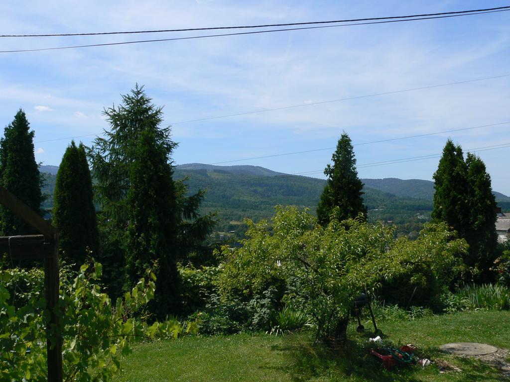 Noclegi W Ksiegarni Bielsko-Biała Extérieur photo
